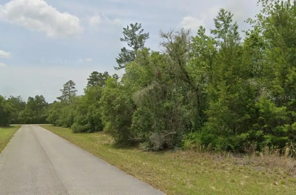 Lot 19 31st Court Ocala FL 34473