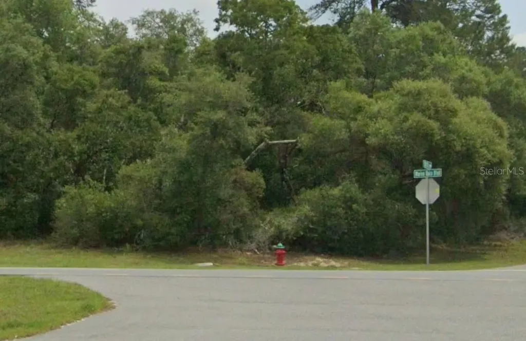 Lot 19 31st Court Ocala FL 34473