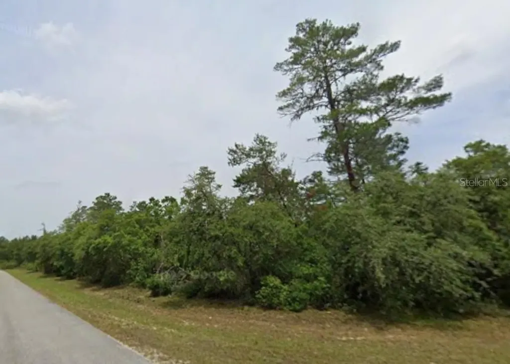 Lot 19 31st Court Ocala FL 34473