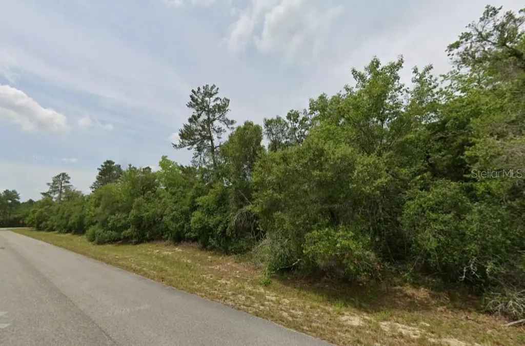Lot 19 31st Court Ocala FL 34473