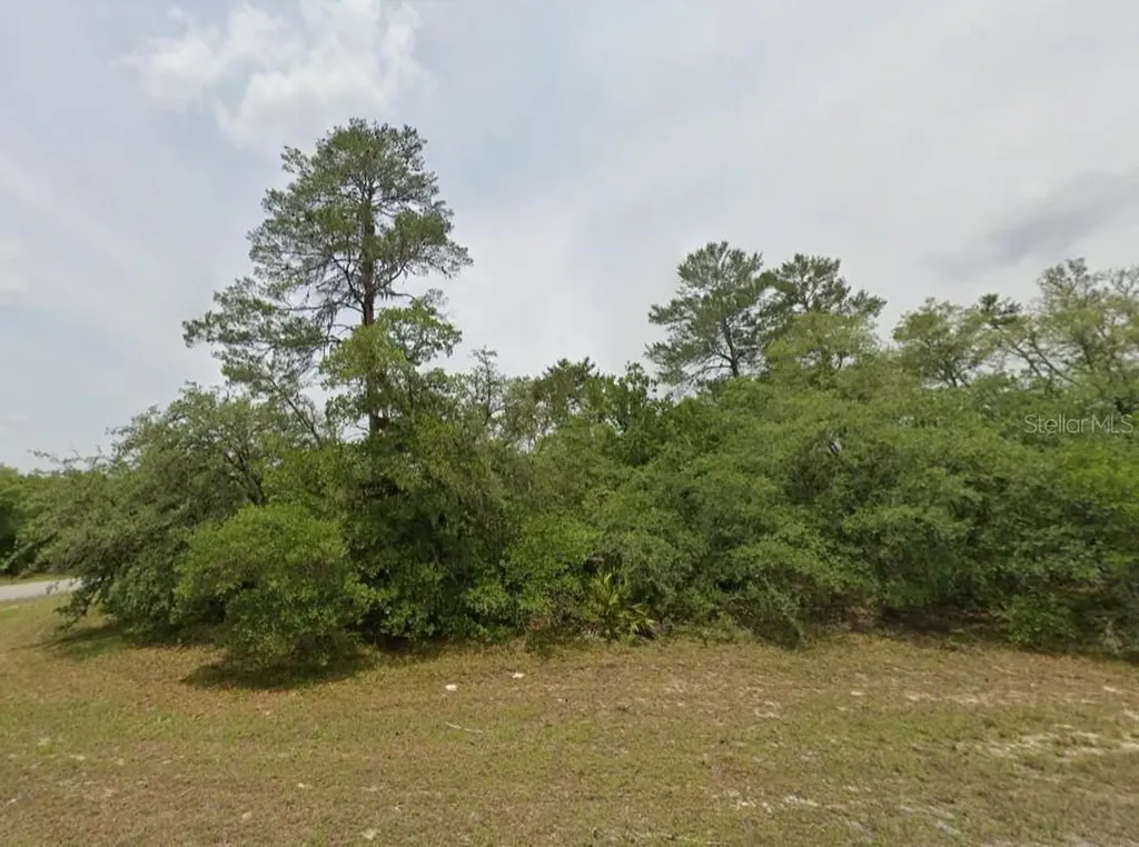 Lot 19 31st Court Ocala FL 34473