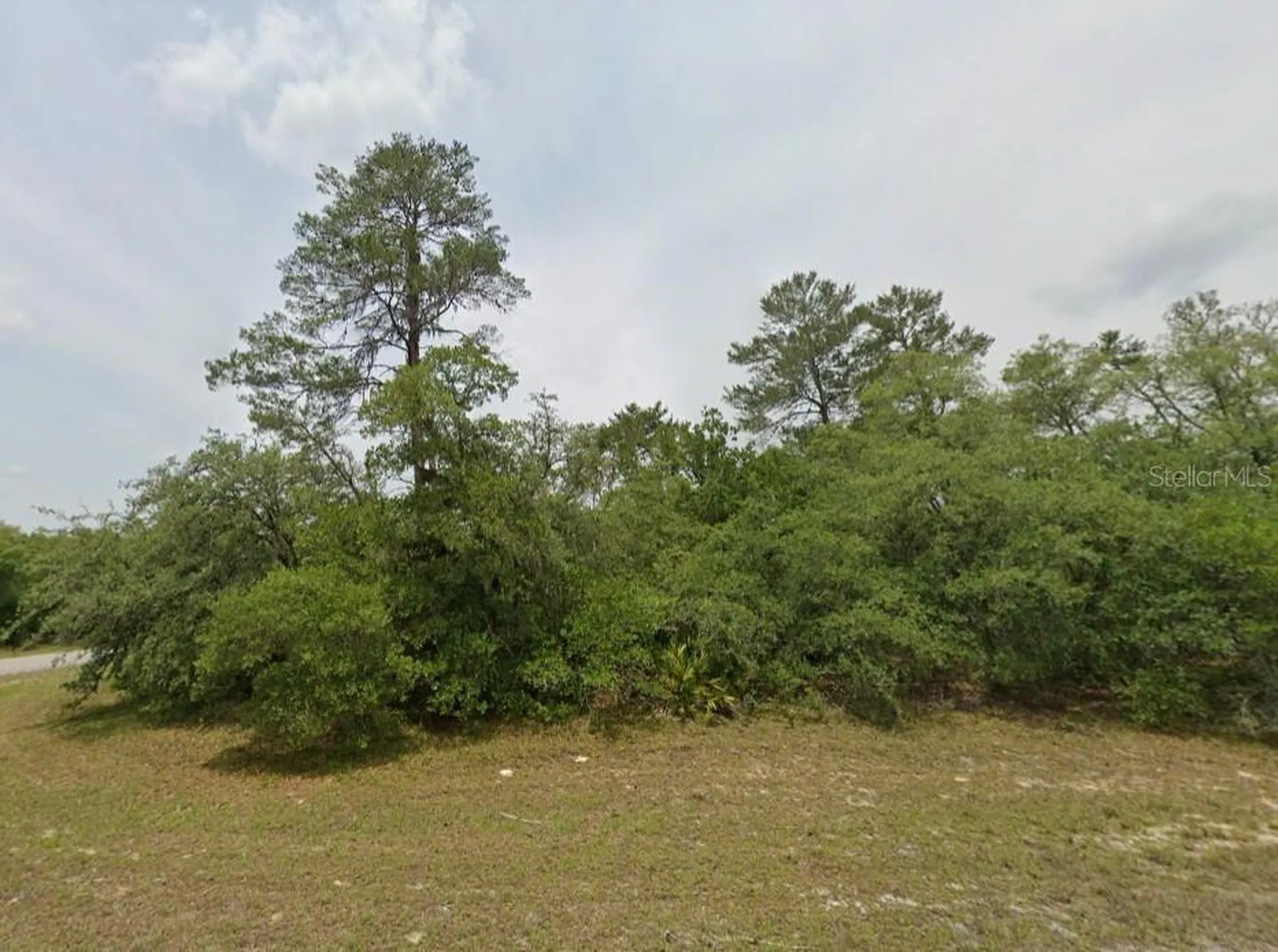 Lot 19 31st Court Ocala FL 34473