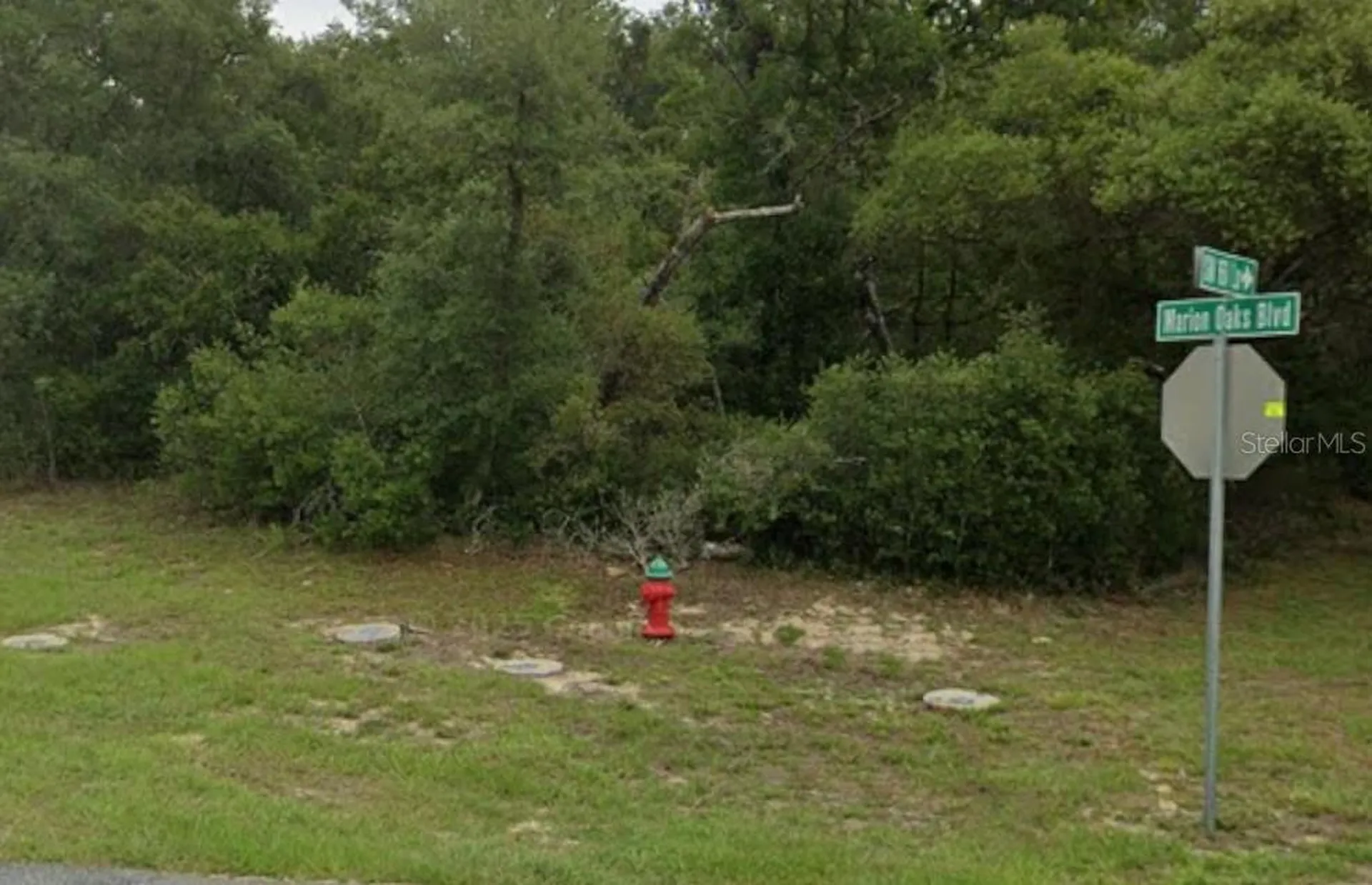Lot 19 31st Court Ocala FL 34473