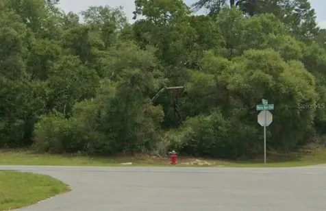 Lot 19 31st Court Ocala FL 34473