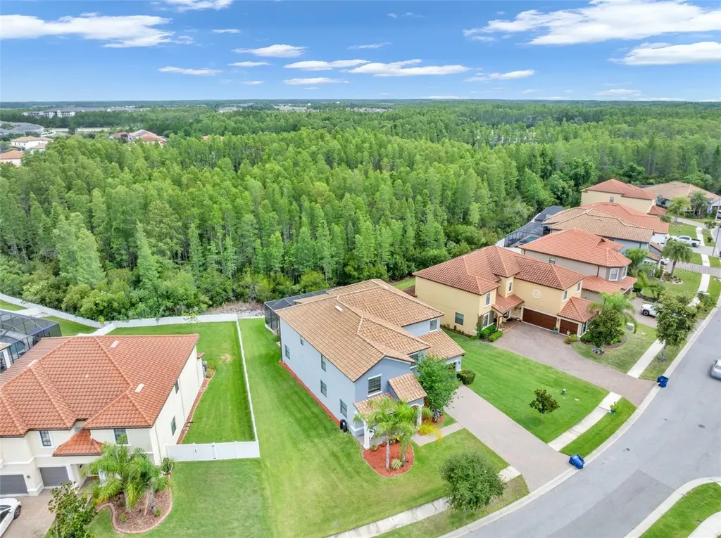 19265 Umberland Place Land O Lakes FL 34638