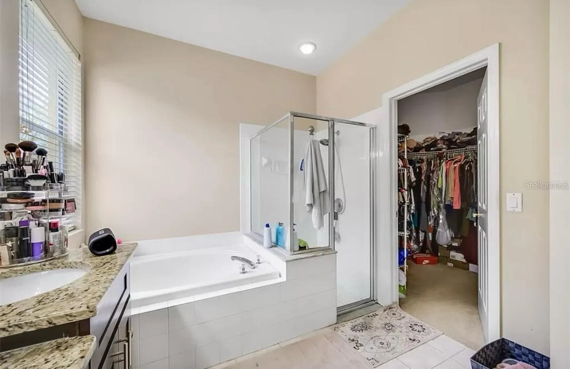 19151 Dove Creek Drive Tampa FL 33647