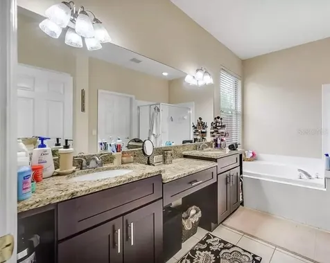 19151 Dove Creek Drive Tampa FL 33647