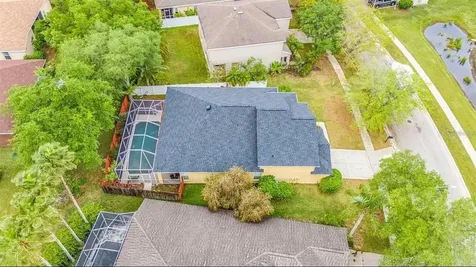 19151 Dove Creek Drive Tampa FL 33647