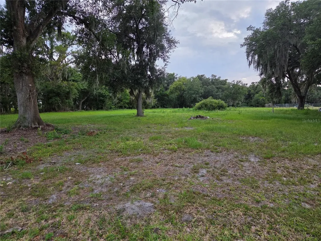 10716 Mcintosh Road Thonotosassa FL 33592