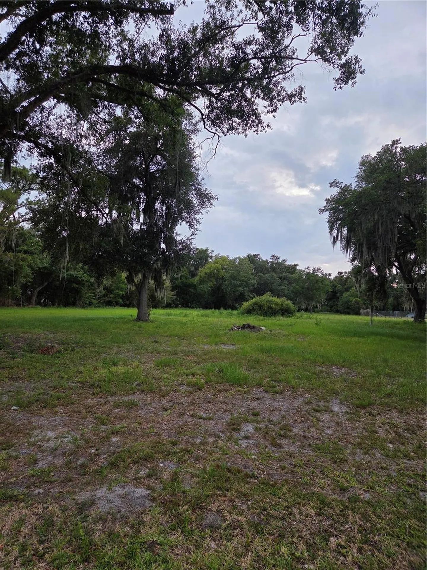 10716 Mcintosh Road Thonotosassa FL 33592