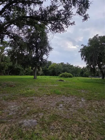 10716 Mcintosh Road Thonotosassa FL 33592