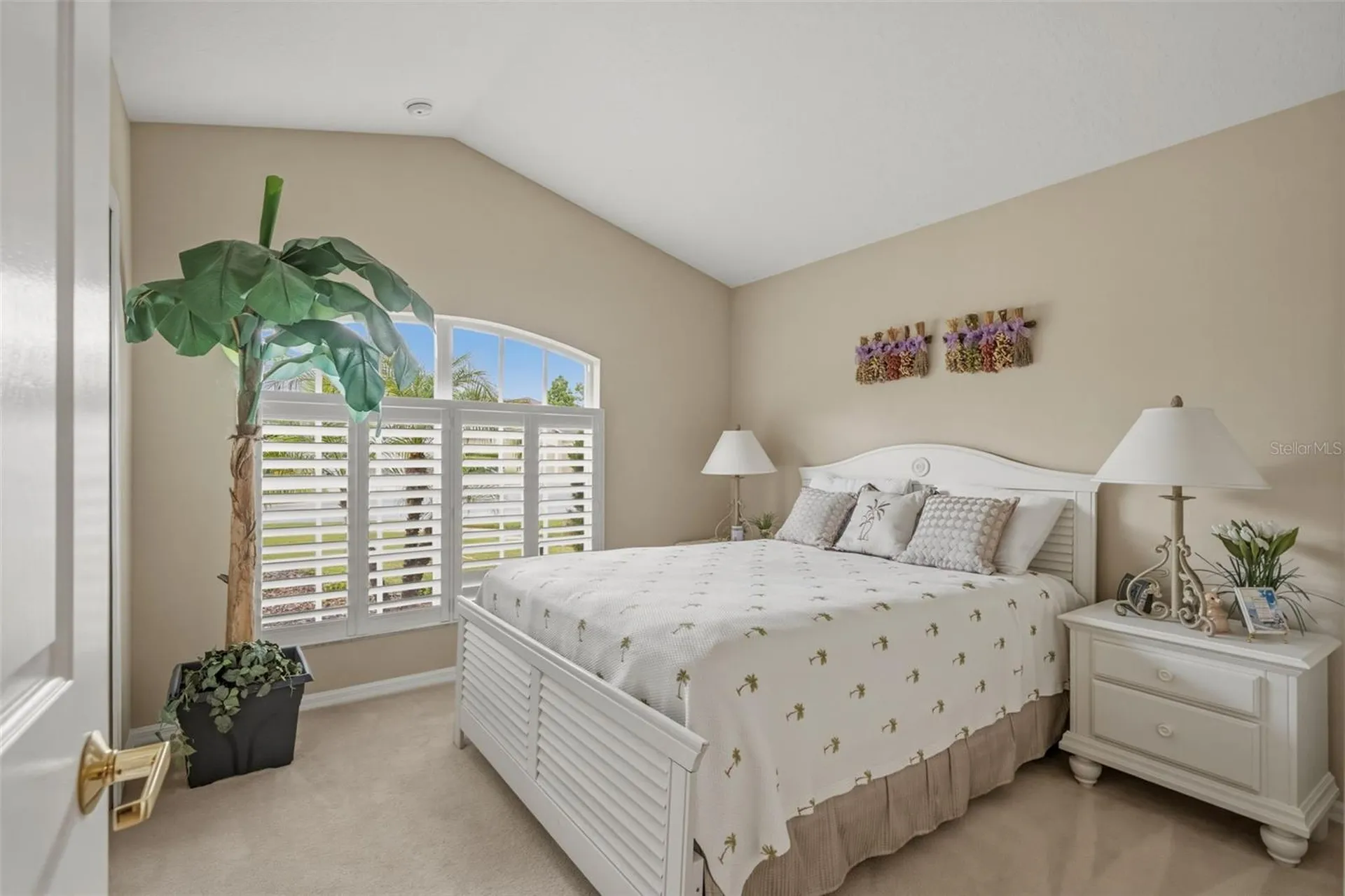 23800 Estero Court Land O Lakes FL 34639
