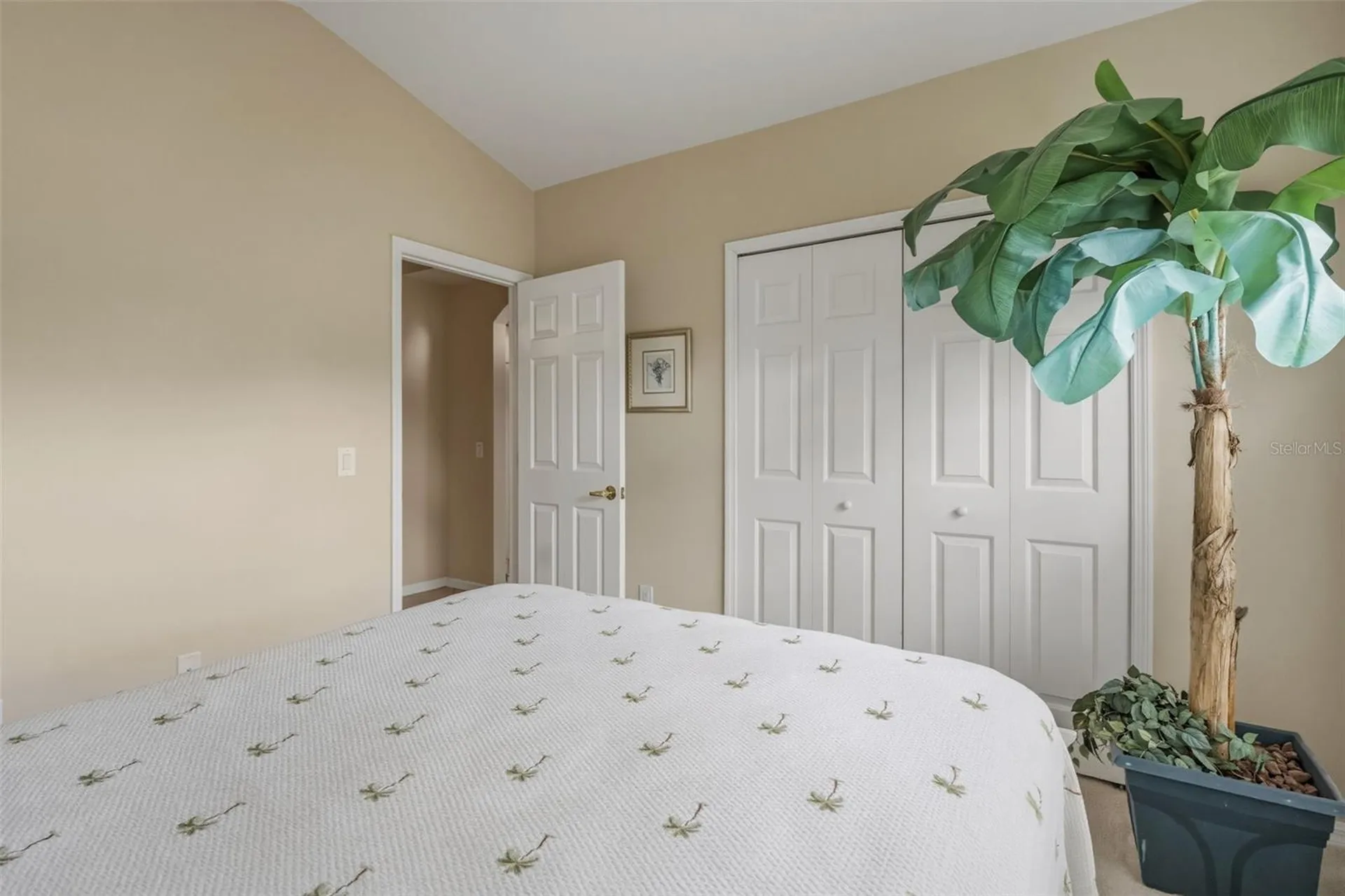 23800 Estero Court Land O Lakes FL 34639