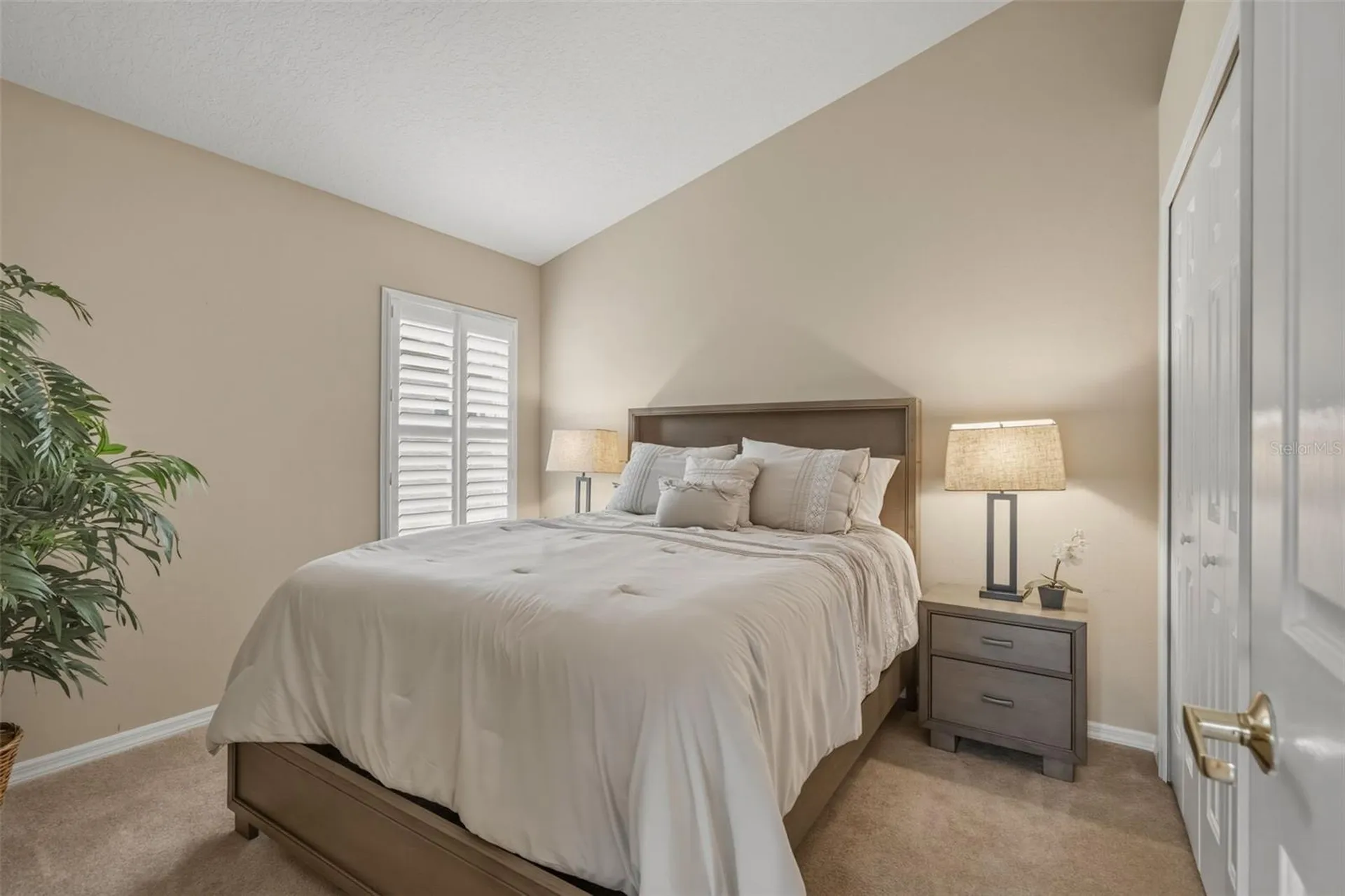 23800 Estero Court Land O Lakes FL 34639