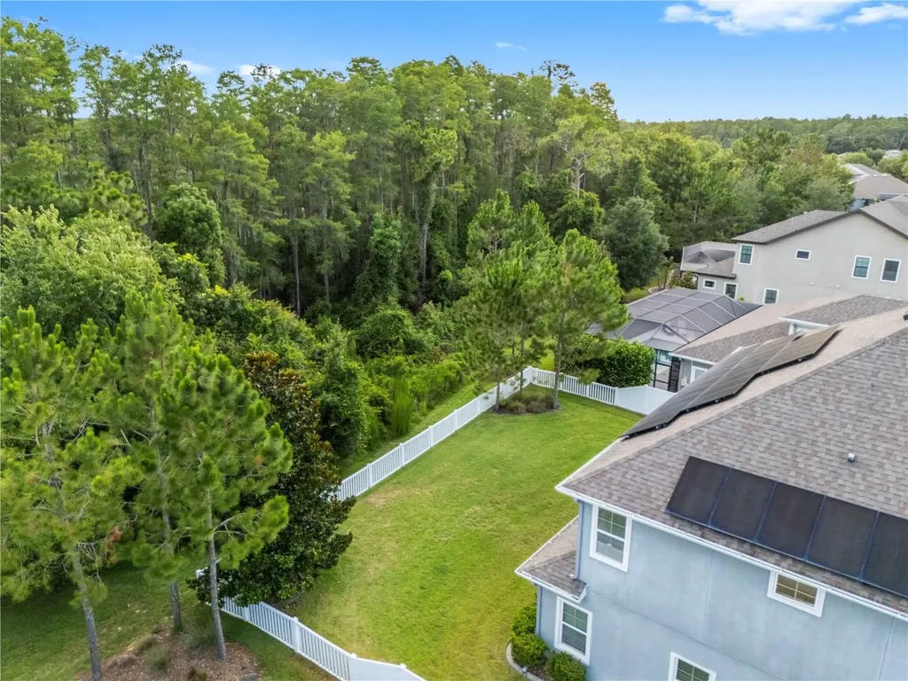 19520 Hayden Lake Court Land O Lakes FL 34638