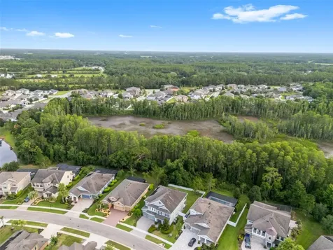 19520 Hayden Lake Court Land O Lakes FL 34638