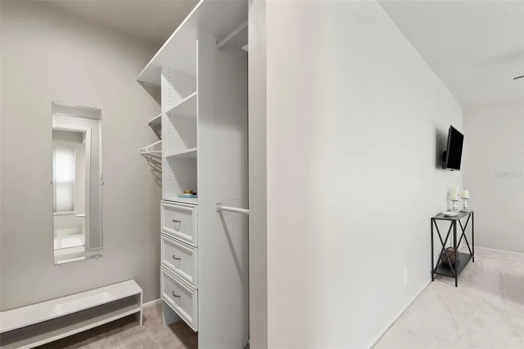 3028 Gregor Court Palm Harbor FL 34684