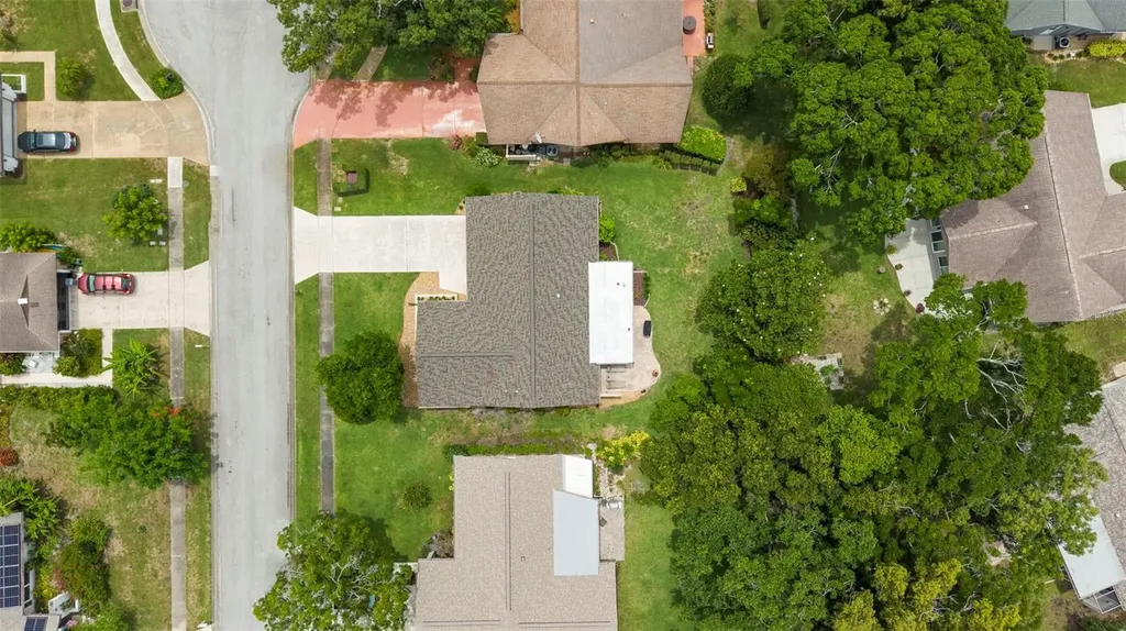 3028 Gregor Court Palm Harbor FL 34684