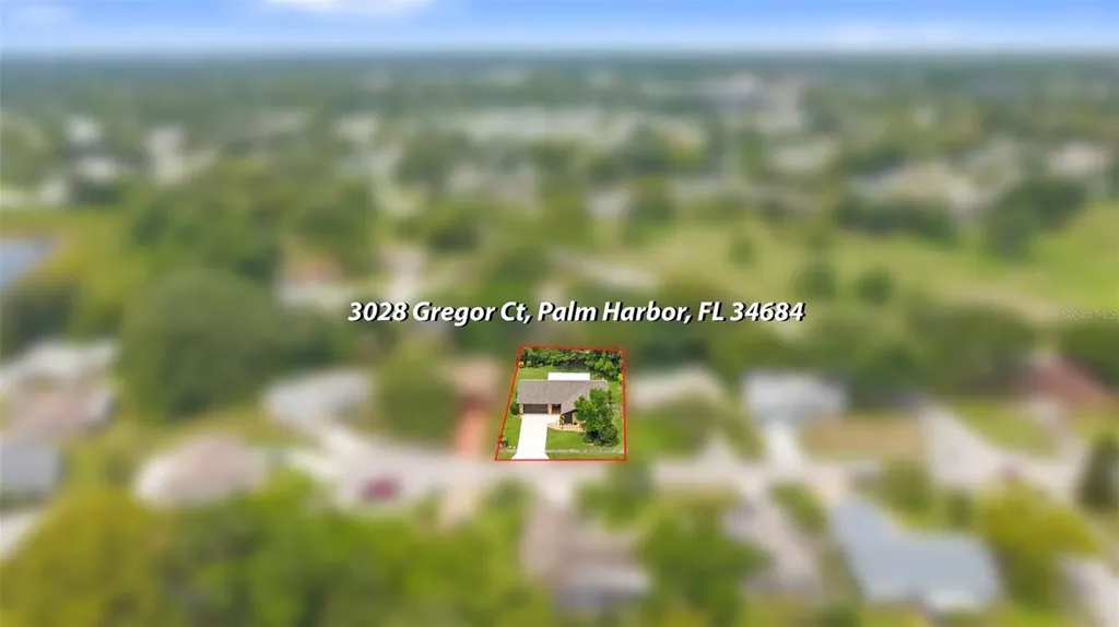 3028 Gregor Court Palm Harbor FL 34684