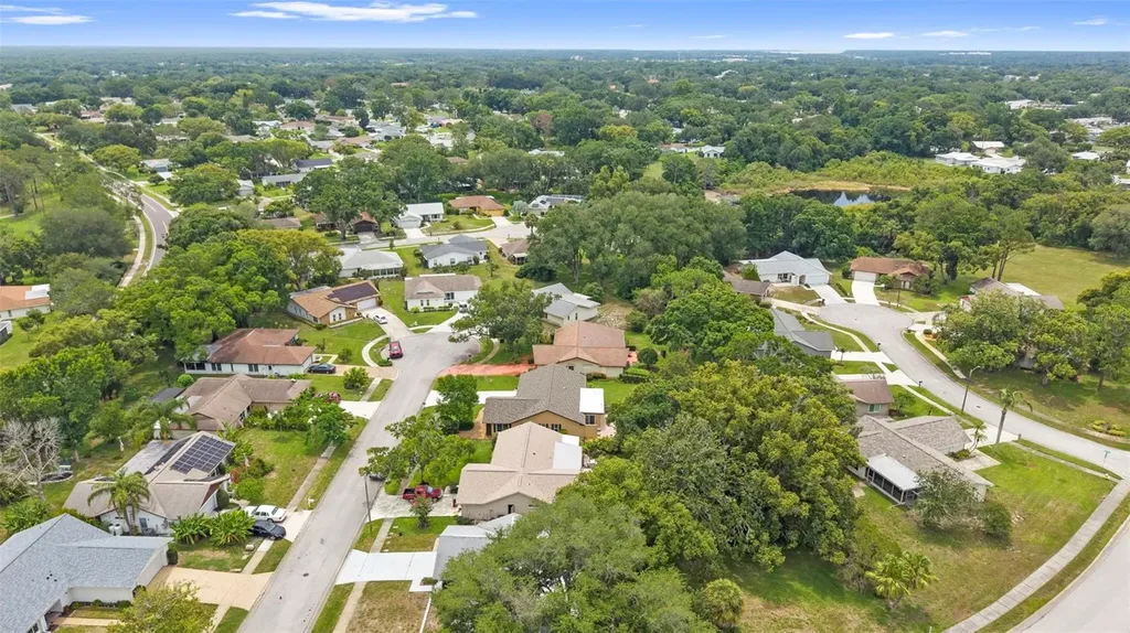 3028 Gregor Court Palm Harbor FL 34684