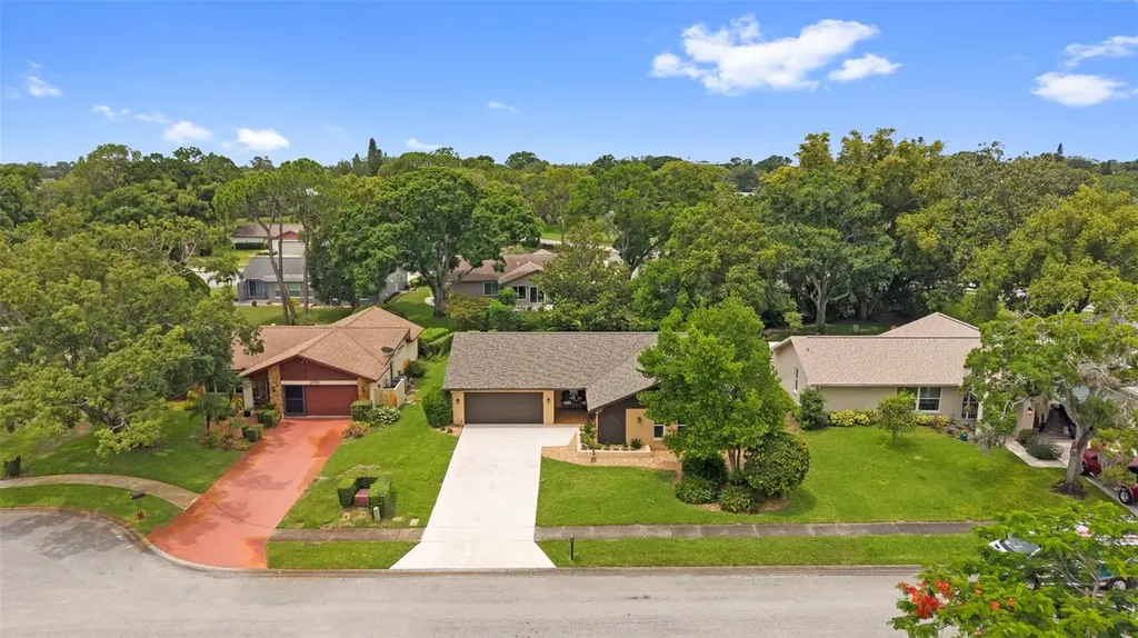 3028 Gregor Court Palm Harbor FL 34684
