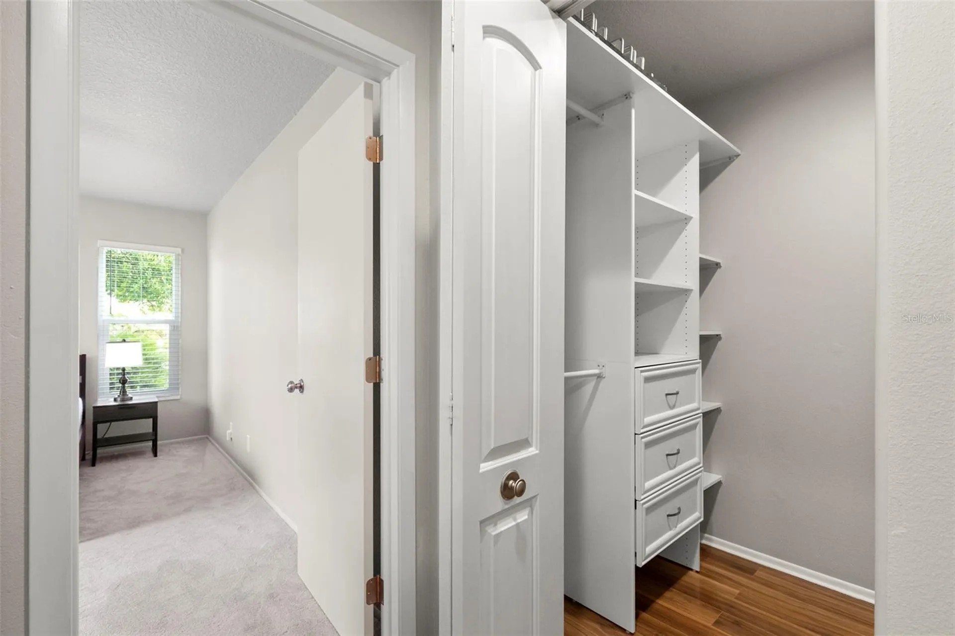 3028 Gregor Court Palm Harbor FL 34684
