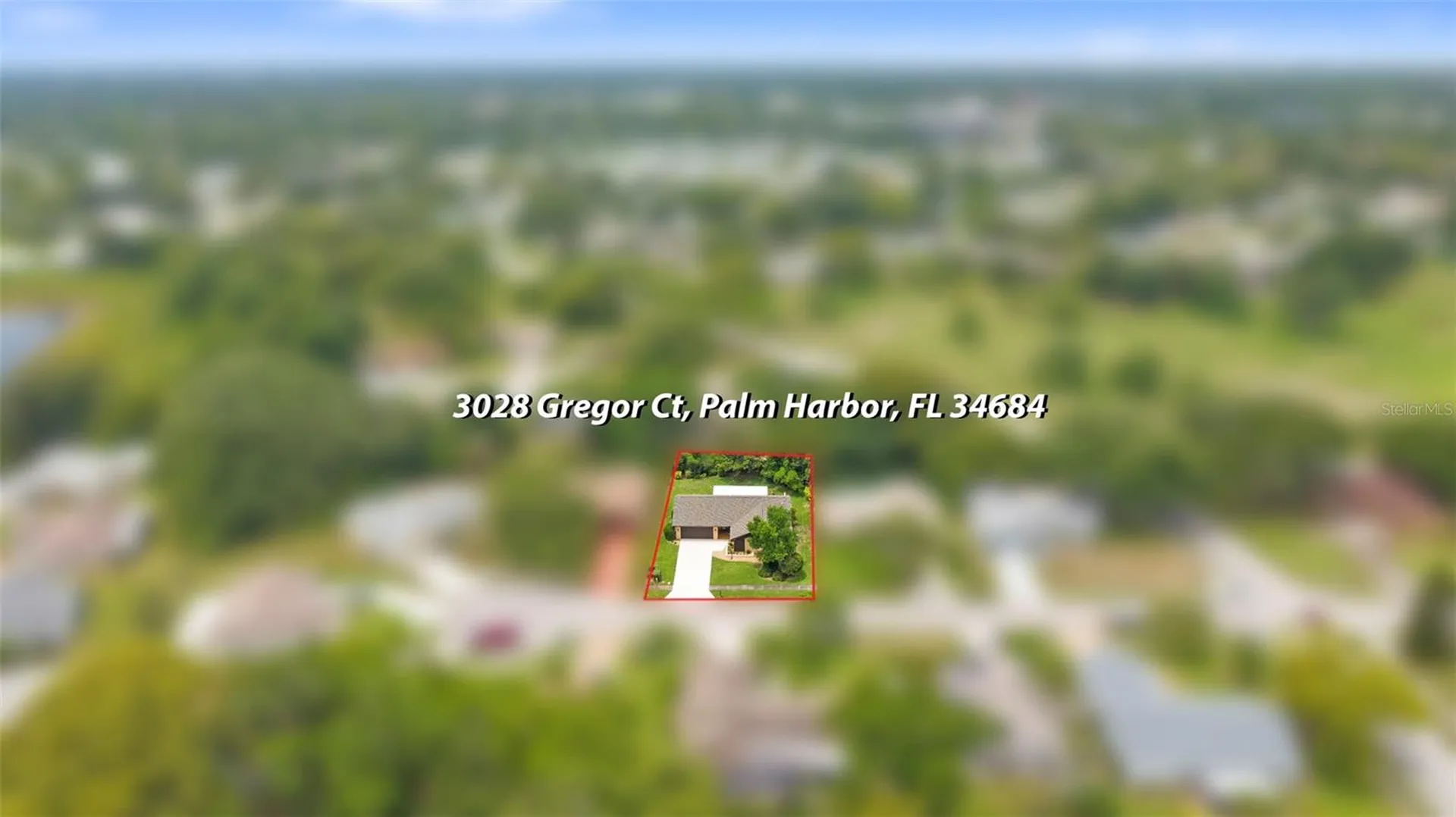 3028 Gregor Court Palm Harbor FL 34684