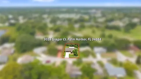 3028 Gregor Court Palm Harbor FL 34684