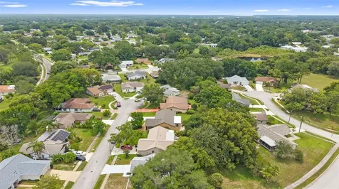 3028 Gregor Court Palm Harbor FL 34684