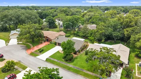 3028 Gregor Court Palm Harbor FL 34684