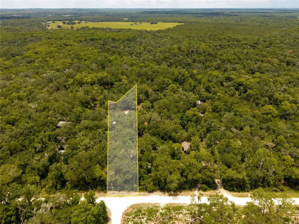 7333 Riverview Drive Webster FL 33597