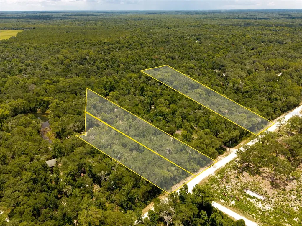 7333 Riverview Drive Webster FL 33597