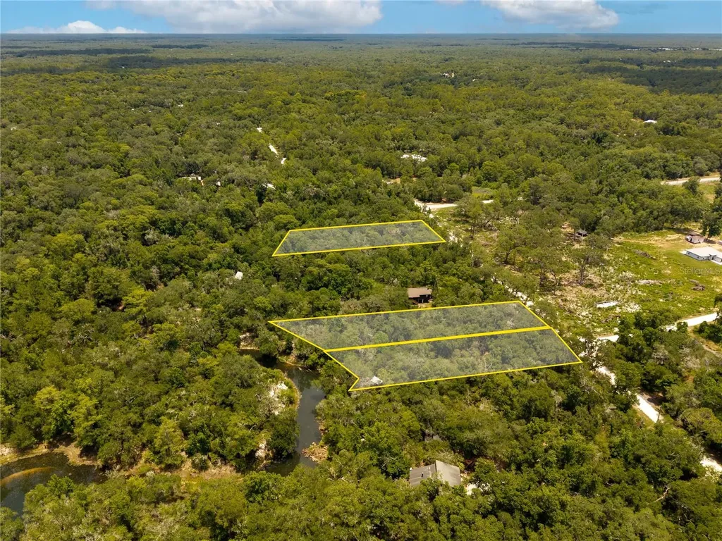 7333 Riverview Drive Webster FL 33597