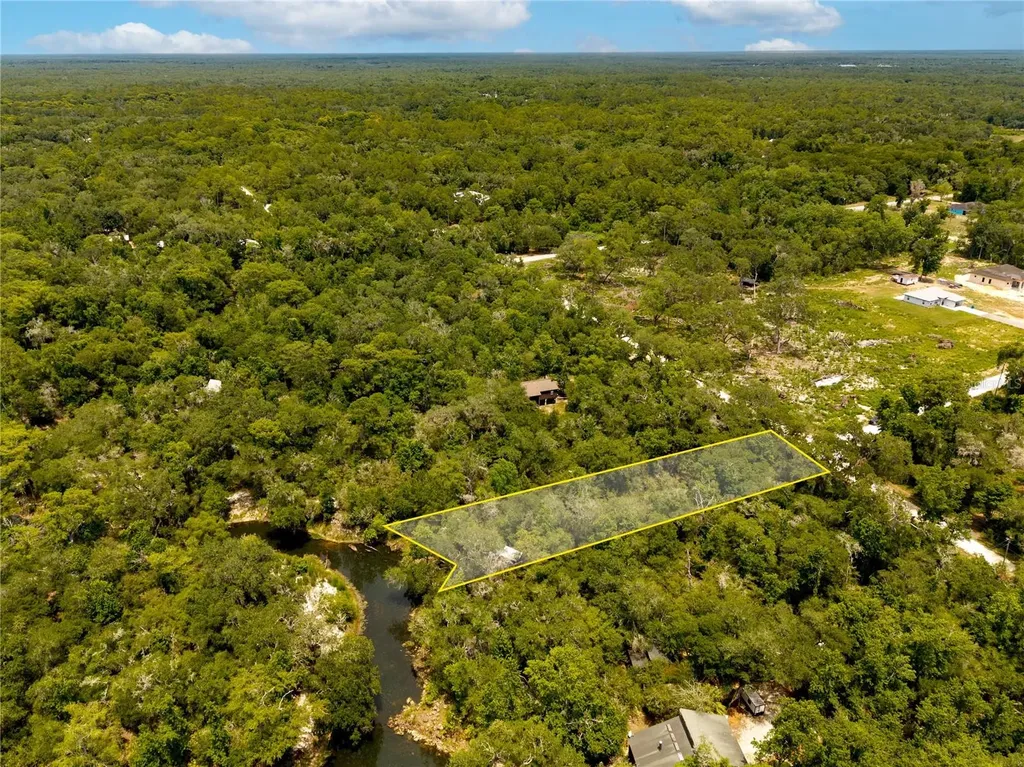 7333 Riverview Drive Webster FL 33597