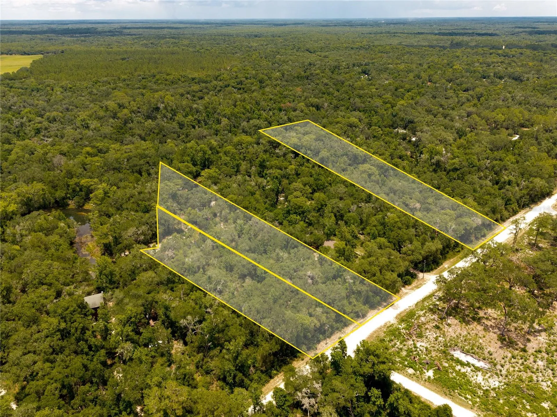 7333 Riverview Drive Webster FL 33597