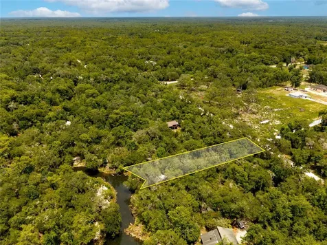 7333 Riverview Drive Webster FL 33597