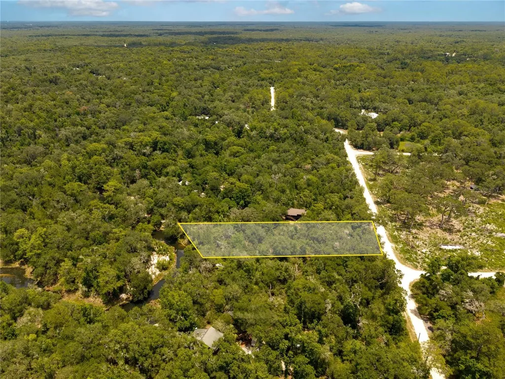 7337 Riverview Drive Webster FL 33597