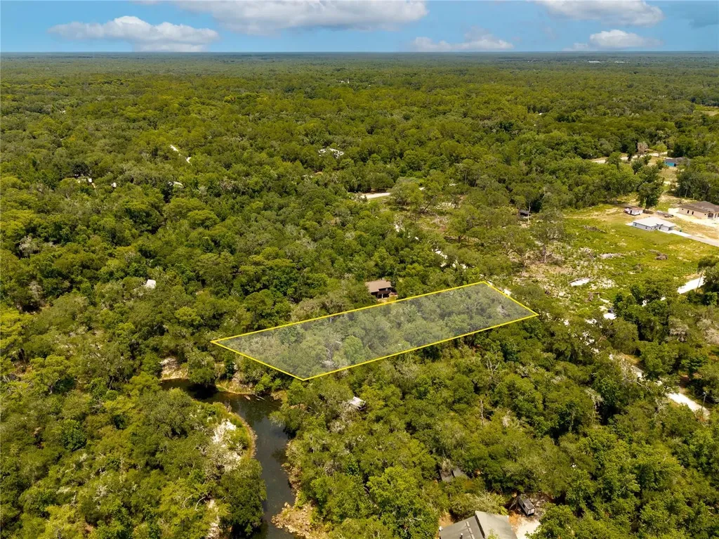 7337 Riverview Drive Webster FL 33597