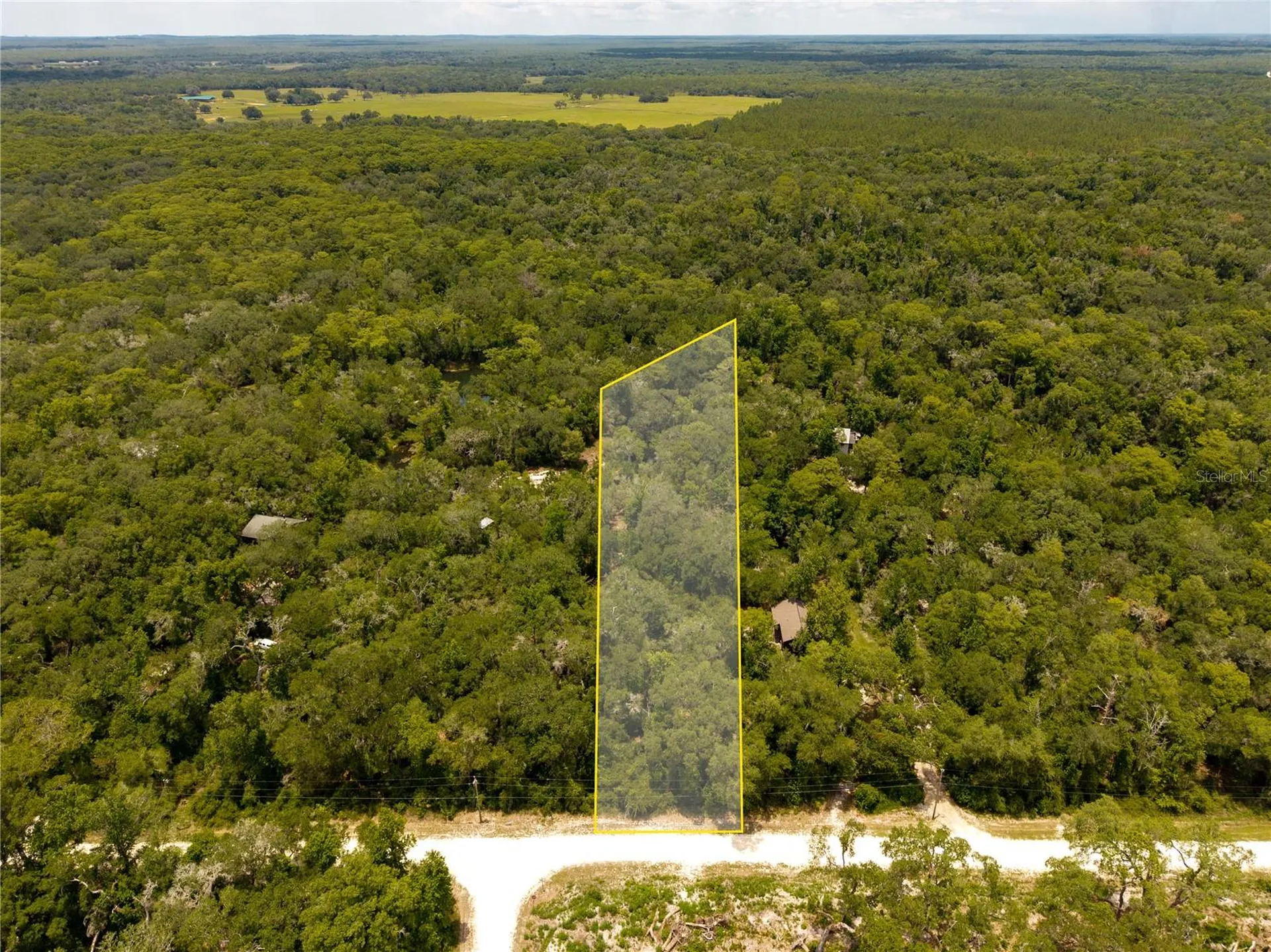 7337 Riverview Drive Webster FL 33597