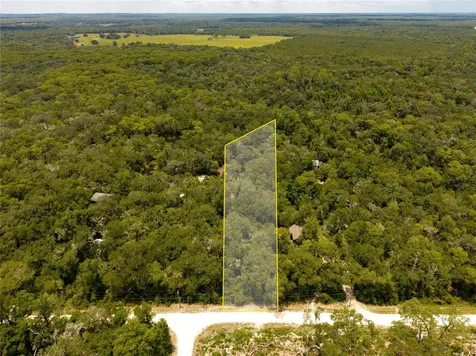 7337 Riverview Drive Webster FL 33597