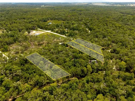 7337 Riverview Drive Webster FL 33597