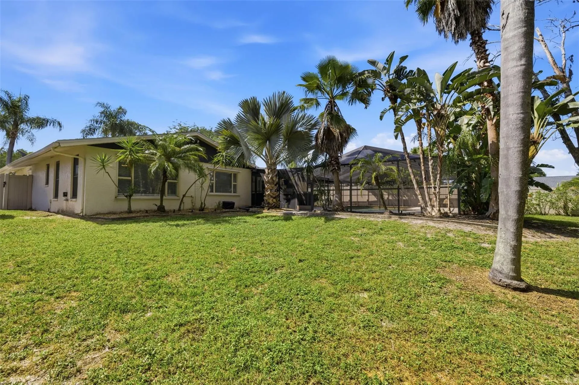 12606 Wood Ibis Way Tampa FL 33624