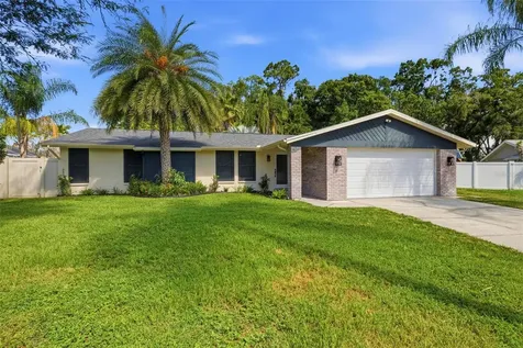 12606 Wood Ibis Way Tampa FL 33624