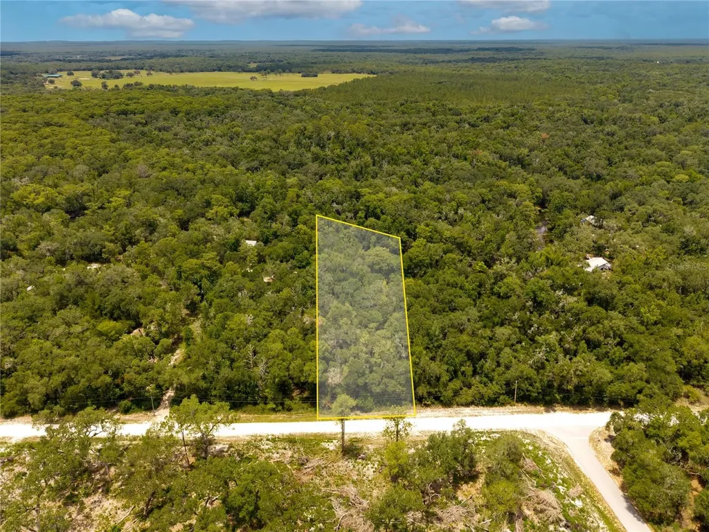 7353 Riverview Drive Webster FL 33597