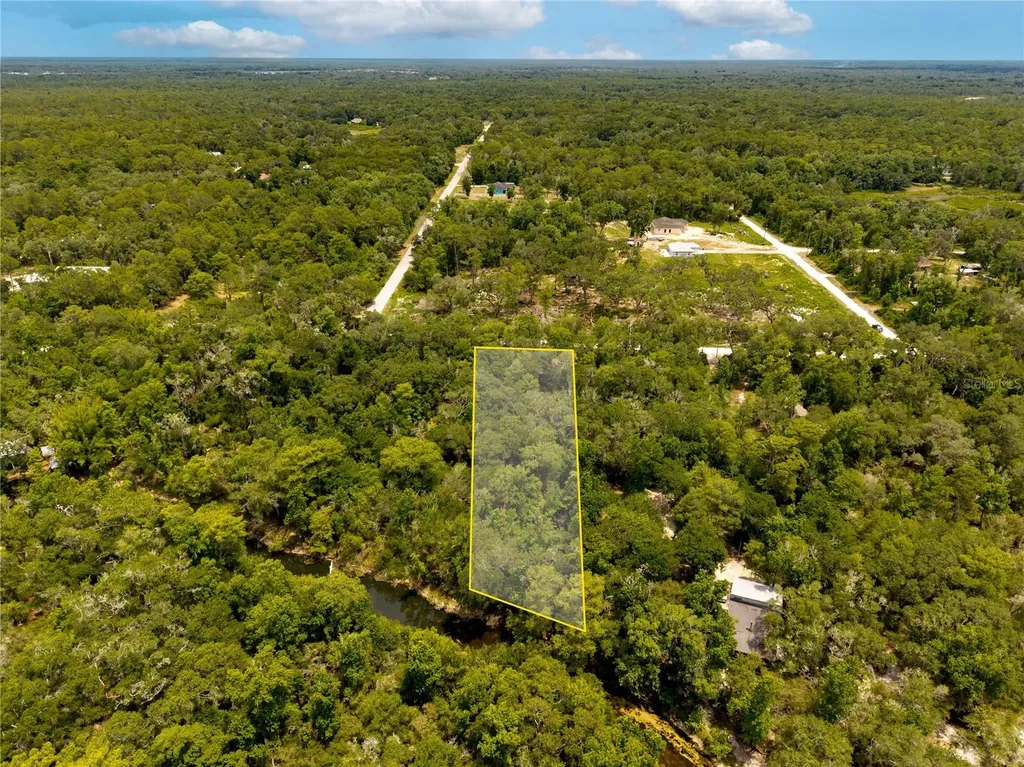 7353 Riverview Drive Webster FL 33597