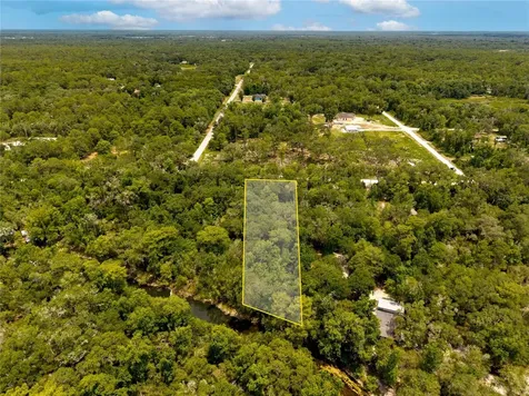 7353 Riverview Drive Webster FL 33597