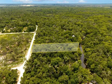 7353 Riverview Drive Webster FL 33597