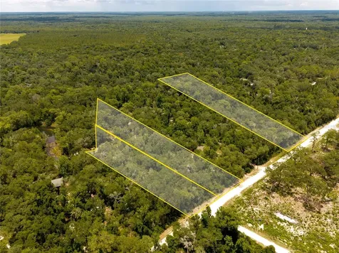 7353 Riverview Drive Webster FL 33597
