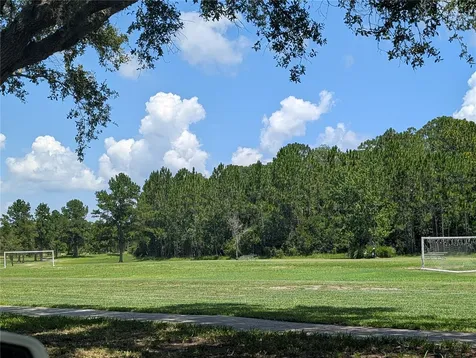 3214 Needlegrass Lane Harmony FL 34773