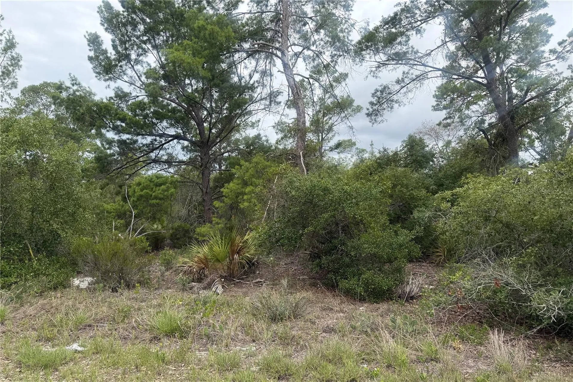 105 Hoover Avenue NE Lake Placid FL 33852